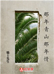 那年青山那年情